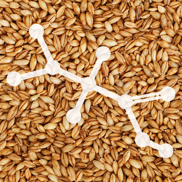 Whisky words: amino acids