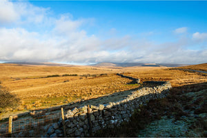 Welsh Whisky Distilleries