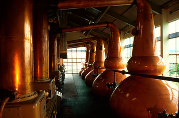 How the lyne arm on a still can affect Scotch whisky flavour