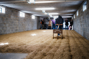 Why Does This Whisky Taste Like That? Part 1: Can You Really Taste Barley in Whisky?