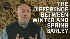 What is the difference between winter barley and spring barley?