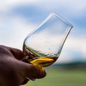Whisky Words: Enzymes