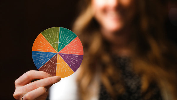 The Edinburgh Whisky Academy Flavour Wheel Beermat (Pack of 10)